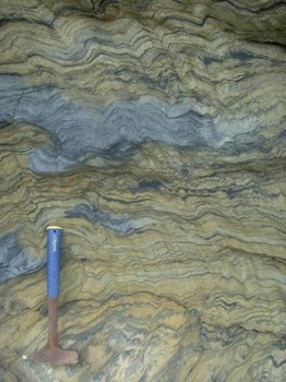 Calvados Schist